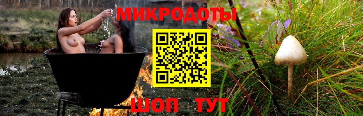 Усть-Джегута  даркнет сайт  Вход с VPN  Галлюциногенные грибы GOLDEN TEACHER 