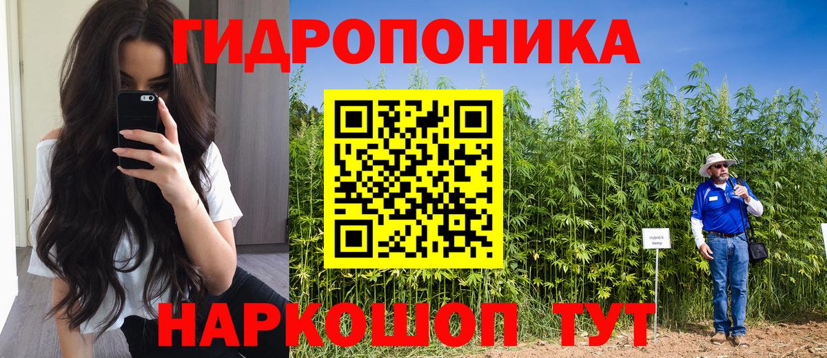 Бошки Шишки Bruce Banner  Вход с VPN  МАРИХУАНА VHQ  Канабис тримм  Усть-Джегута 